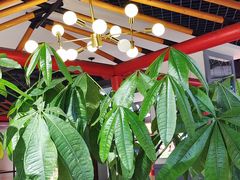 大堂-蛙一刀·麻椒鱼火锅(金仙桥店)