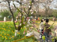-凤凰沟景区
