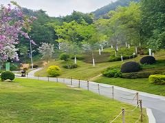-火炉山森林公园