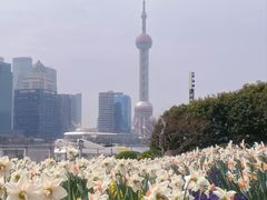 -北外滩滨江绿地