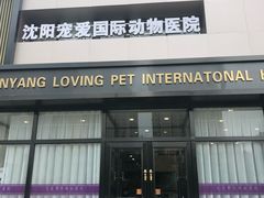 门面-宠爱国际动物医院· 猫科· 外科·中兽医(长白店)