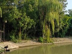 -东湖景区