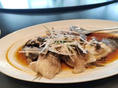 -一麦·龙岛(上海青浦店)