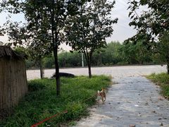-御林汤泉