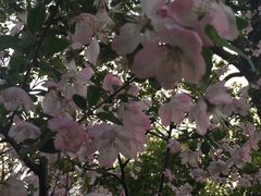 -福海面馆(阳曲店)