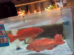 -阿伟海鲜楼·福建菜(延寿店)