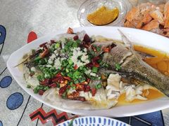 -魚當家