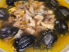 小甲鱼老母鸡打边汤-禧瑞都大饭店(吊桥路店)