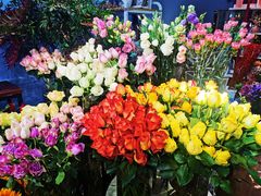 -The Flowers Coffee(南山店)