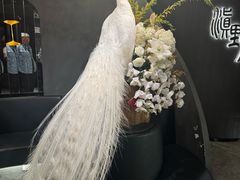 -滇野云南野生菌餐厅(陕西南路店)