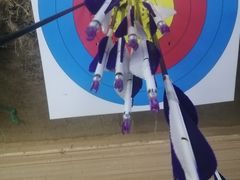 -道顺射箭·团建·骑射(张杨路店)