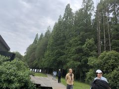 -同里国家湿地公园