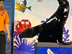 -太平洋海底世界