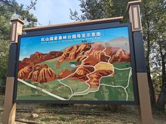 -红山国家森林公园