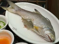 -吴记富苑(朝阳店)