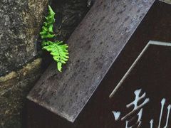 -远山有窑