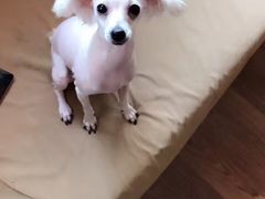 -惠康宠物医院(华能路店)