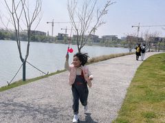 -羊山湖公园