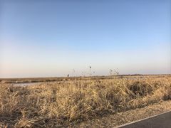 -盐城丹顶鹤湿地生态旅游区