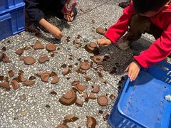 -巴人堂(女儿城店)