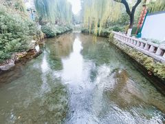 -趵突泉景区