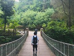 -素山寺森林公园