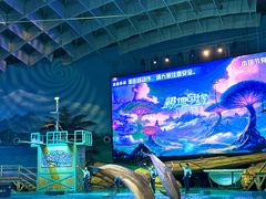 -海合安武汉极地海洋公园