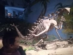 -自贡恐龙博物馆