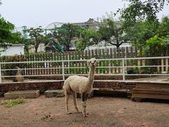 -丽泽山庄·生态怀柔菜·虹鳟鱼(红螺寺店)