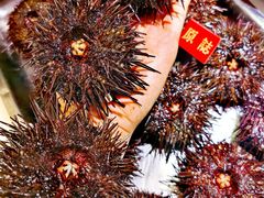 -原志优秀食材·匠心料理·海胆主题(金亿广场店)