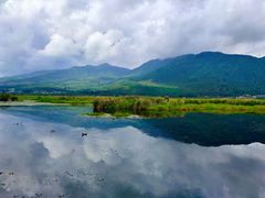-腾冲北海湿地