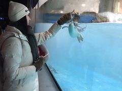 -大连圣亚海洋世界