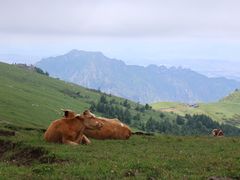 -灵山