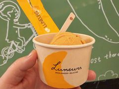 -LUNEURS月乐诗·法式冰淇淋(环贸店)
