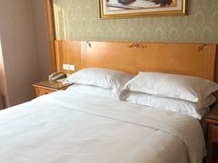 -维也纳酒店(成都春熙路李家沱地铁站店)