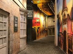 -亚马逊丛林水乐园