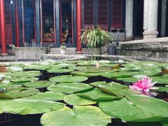 -都江堰普照寺