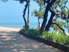 -青岛第二海水浴场