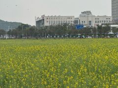 -光明小镇欢乐田园