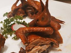 沙田乳鸽-宝燕壹号(徐汇店)