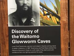 -怀托摩萤火虫洞