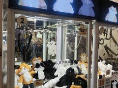 -多抓鱼循环商店(虹桥天地店)