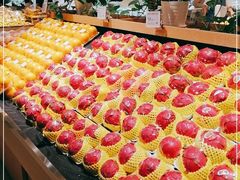 -T11生鲜超市(朝阳公园店)