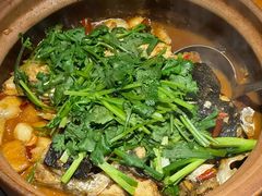 -九道菜有鸡鱼头(石鼓路店)