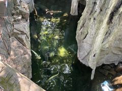 -青青世界