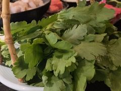 -捞王猪肚鸡火锅(财富中心店)