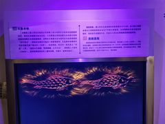 -白鹤梁水下博物馆