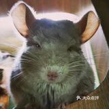 六一带宝宝必打卡去处‖宠物主题亲子体验馆