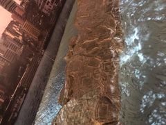 -白鹤梁水下博物馆