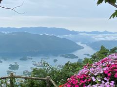 -仙岛湖旅游风景区